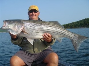 Key to Catching Lake Norfork Stripers - Norfork Lake - Explore the Ozarks