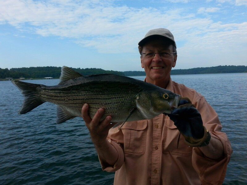 Fishing on Lake Norfork Blue Lady Resort Resort on Lake Norfork