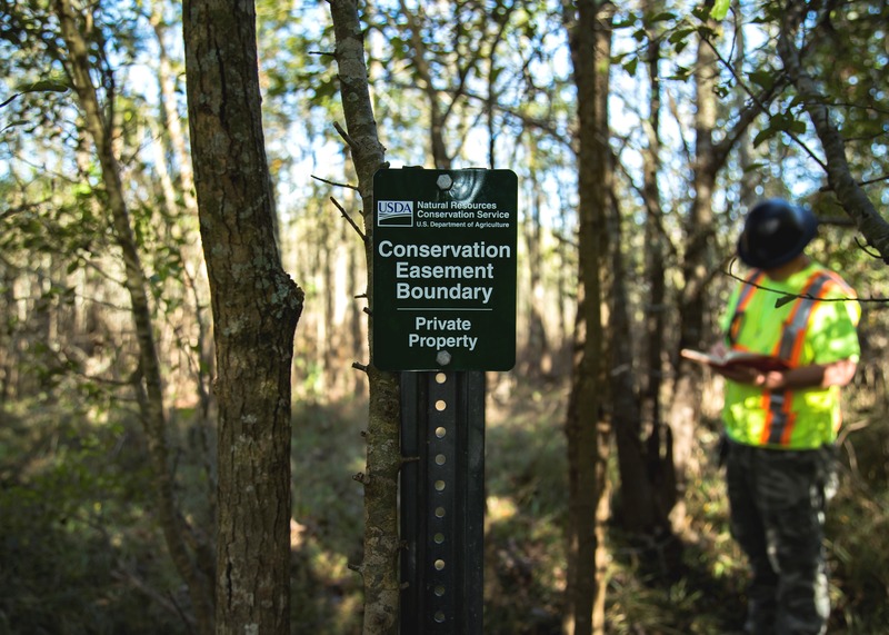 Surveying Services for the Natural Resources Conservation Service of Louisiana