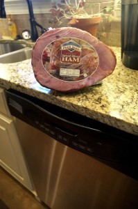 Dishwasher Spiral Sliced Ham