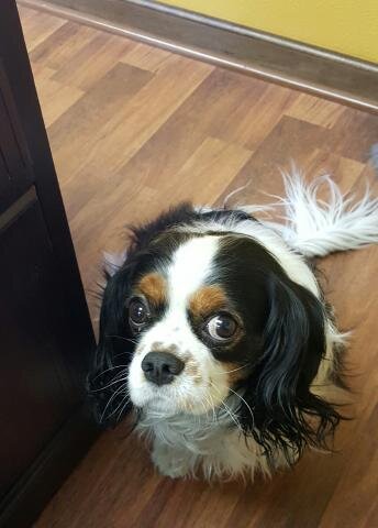 The Best of #SophiaSays