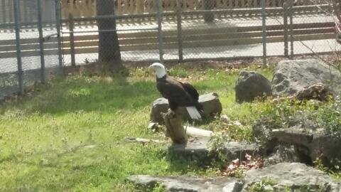 #WeAreVOLT - James Rowden