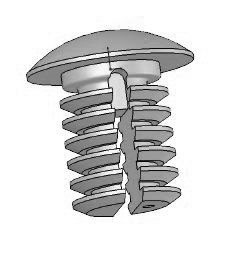 Christmas Tree Cap Image