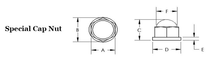 Special Cap Nut Image 2
