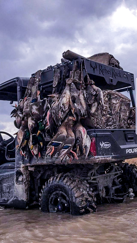 fillmore valves with cushcore