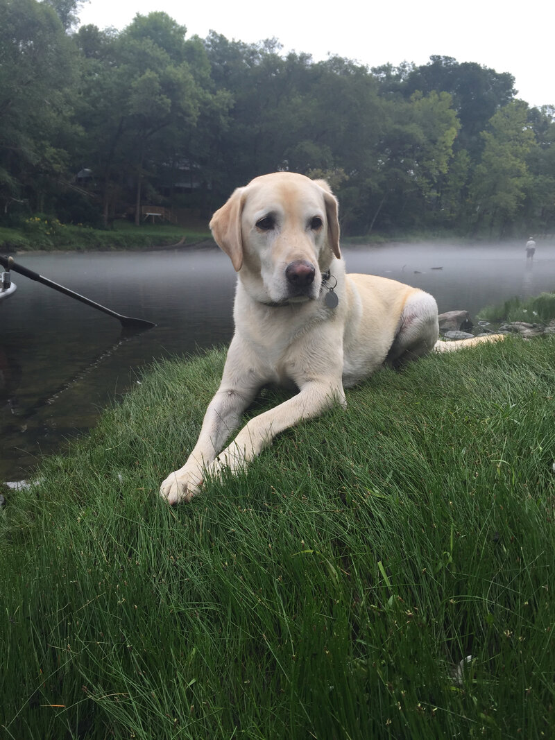 Empty Creel Fly Fishing Guides & Outfitter Heber Springs, AR
