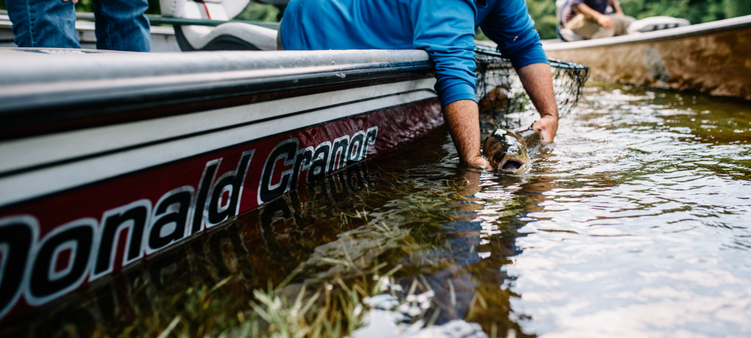 Cranor's White River Lodge on the White River Cotter, Arkansas