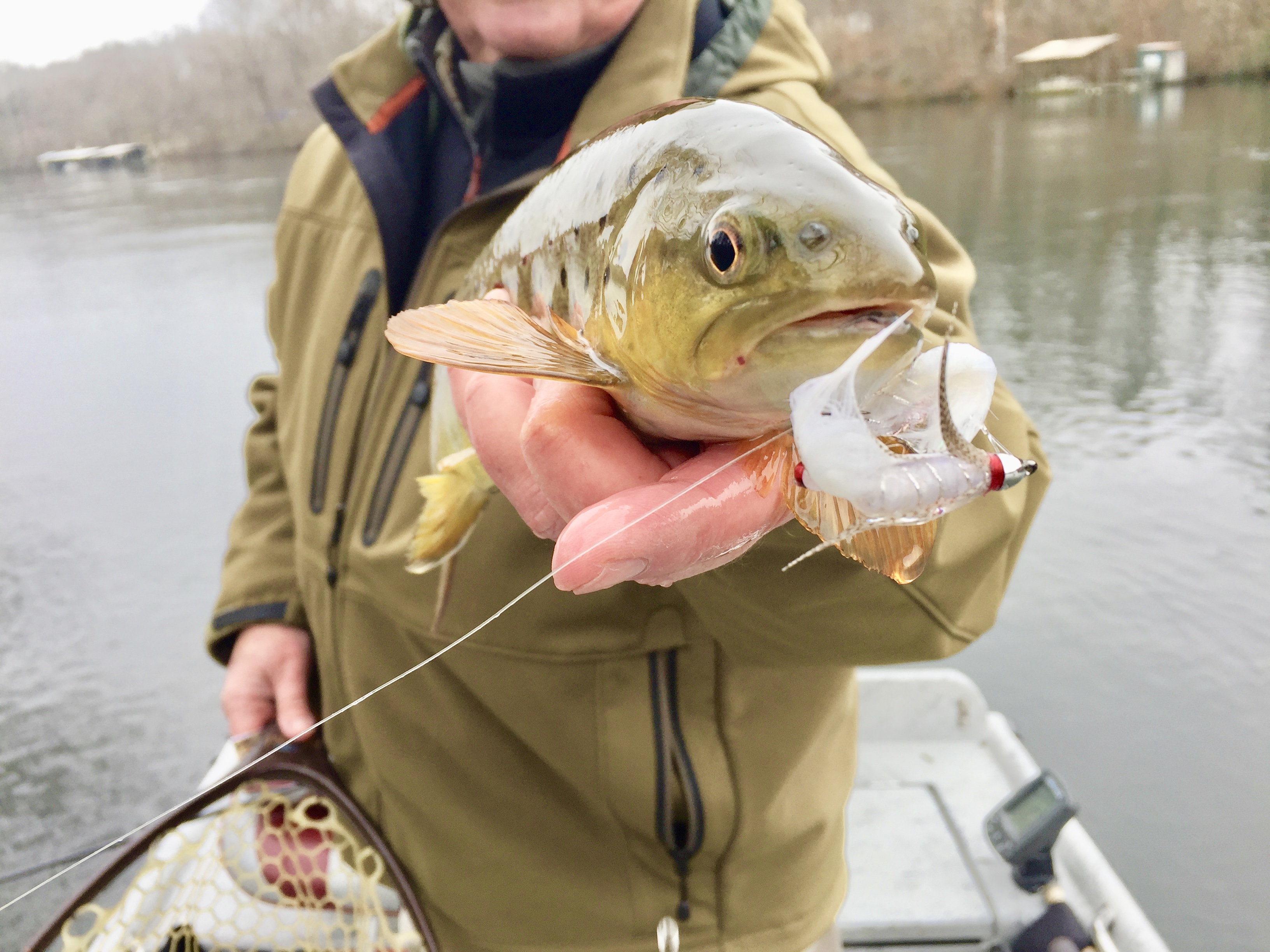 FIRST TRIP OF 2019, Empty Creel Fly Fishing