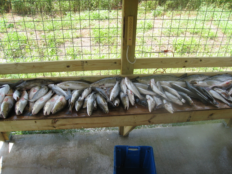 Photos Venice Fishing Lodge Buras, Louisiana
