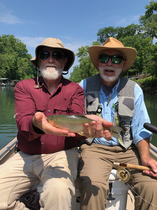 ZEBRA SWALLOWTAIL Empty Creel Fly Fishing Heber Springs, AR