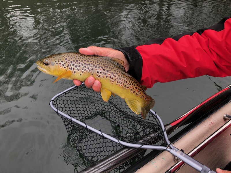 Chuck Empty Creel Fly Fishing Heber Springs, AR