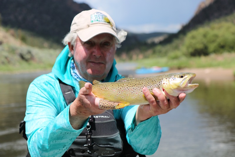 Colorado River Brown Trout
