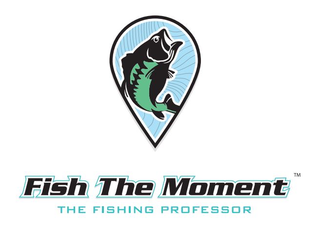 (Fish the Moment) 