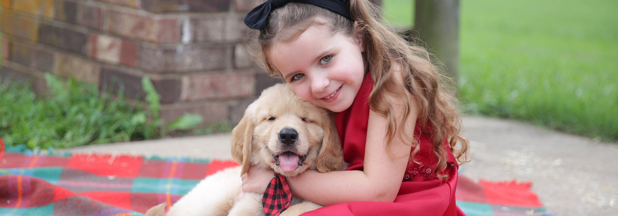 Dogwood Farms Golden Retrievers Mountain Home Arkansas