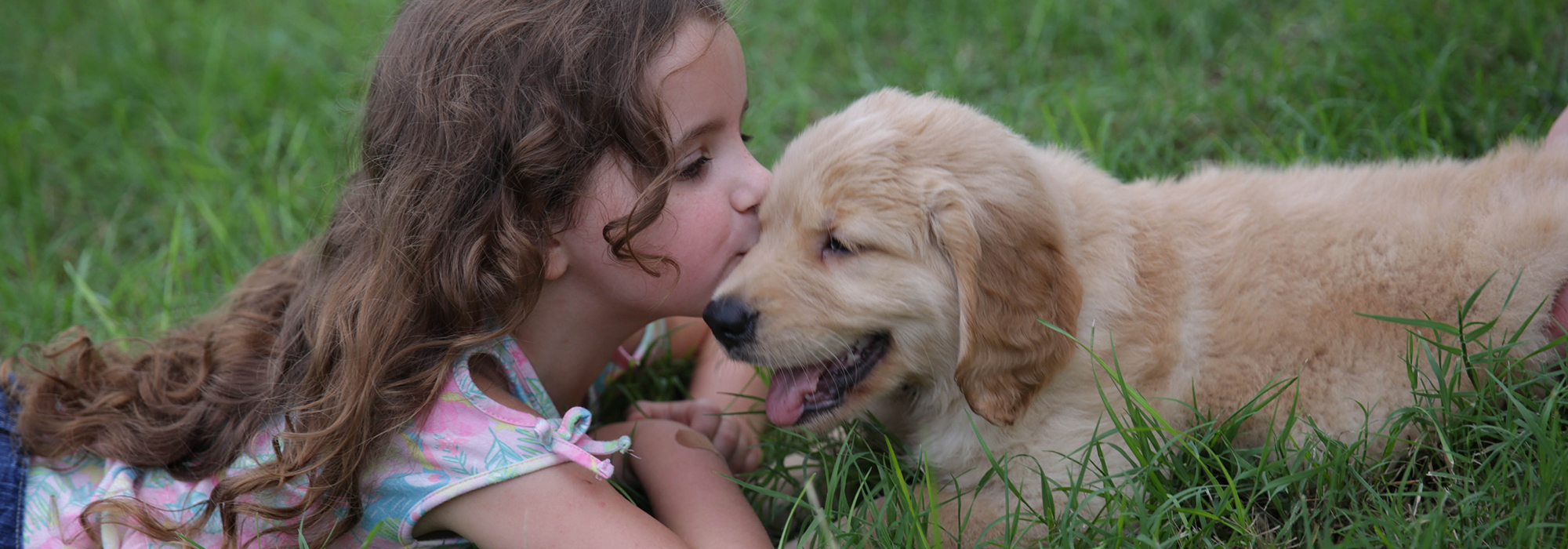 Fluffy Best Friend