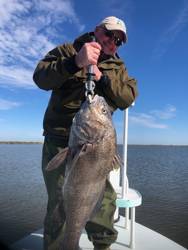 My first and last Black Drum.  They are one slimy creature!