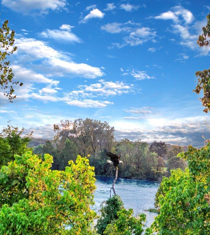 COTTER SHORT TERM RENTALS ON THE WHITE RIVER Leisure Homes