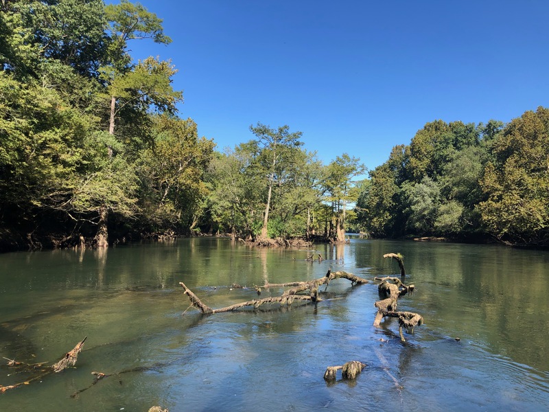 Beautiful early fall day on the Little Red River