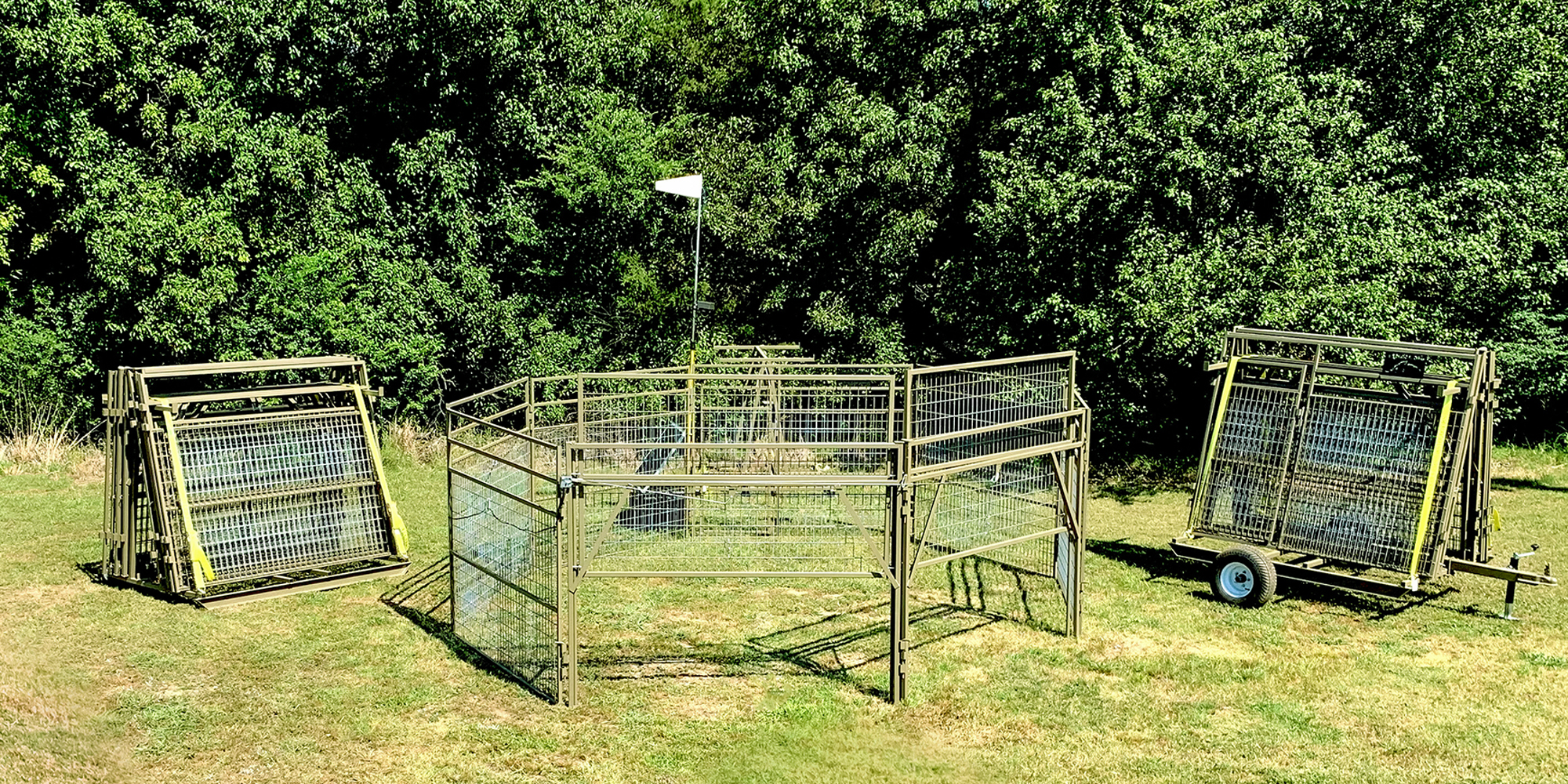 Live Cage Traps shopping - TRAP.NZ Forums