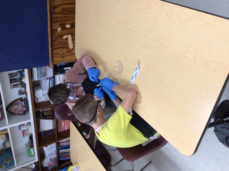 Junior High Cotter Public Schools Cotter, Arkansas