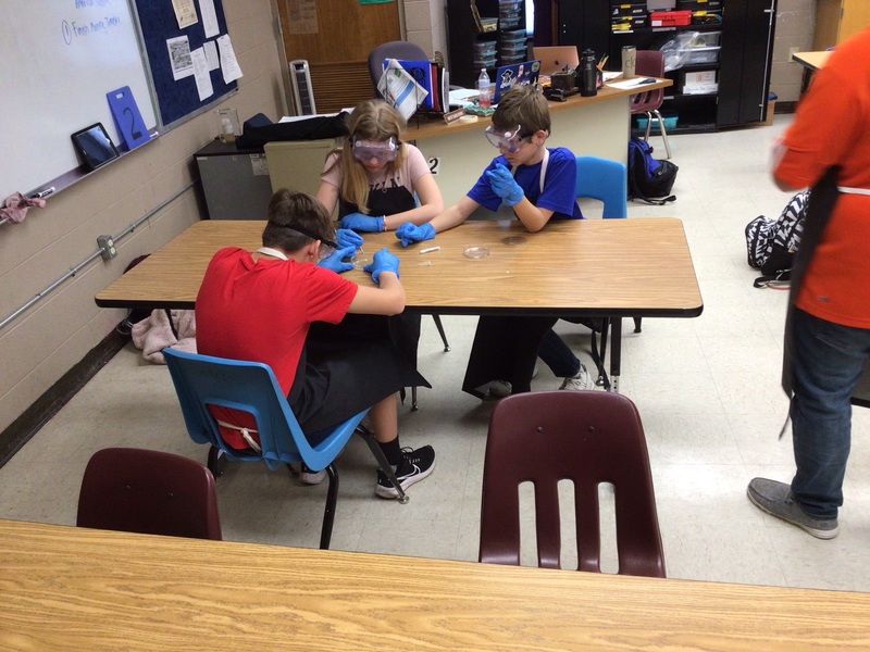 Junior High Cotter Public Schools Cotter, Arkansas