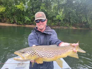 The White River Inn, Man trout fishing on the White River in Arkansas.