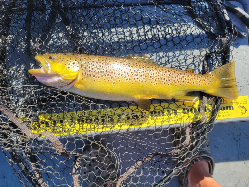 Guided White River Float Fishing Trips