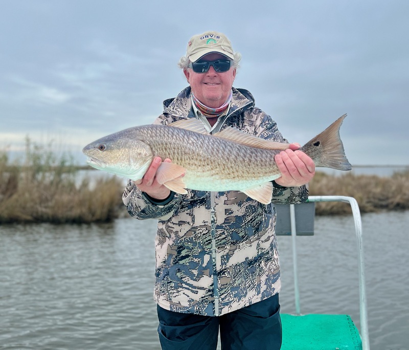 Redfish 2023/ Louisiana Marsh