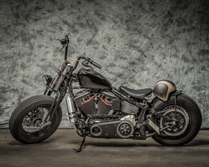 Harley Davidson® Motorcycles