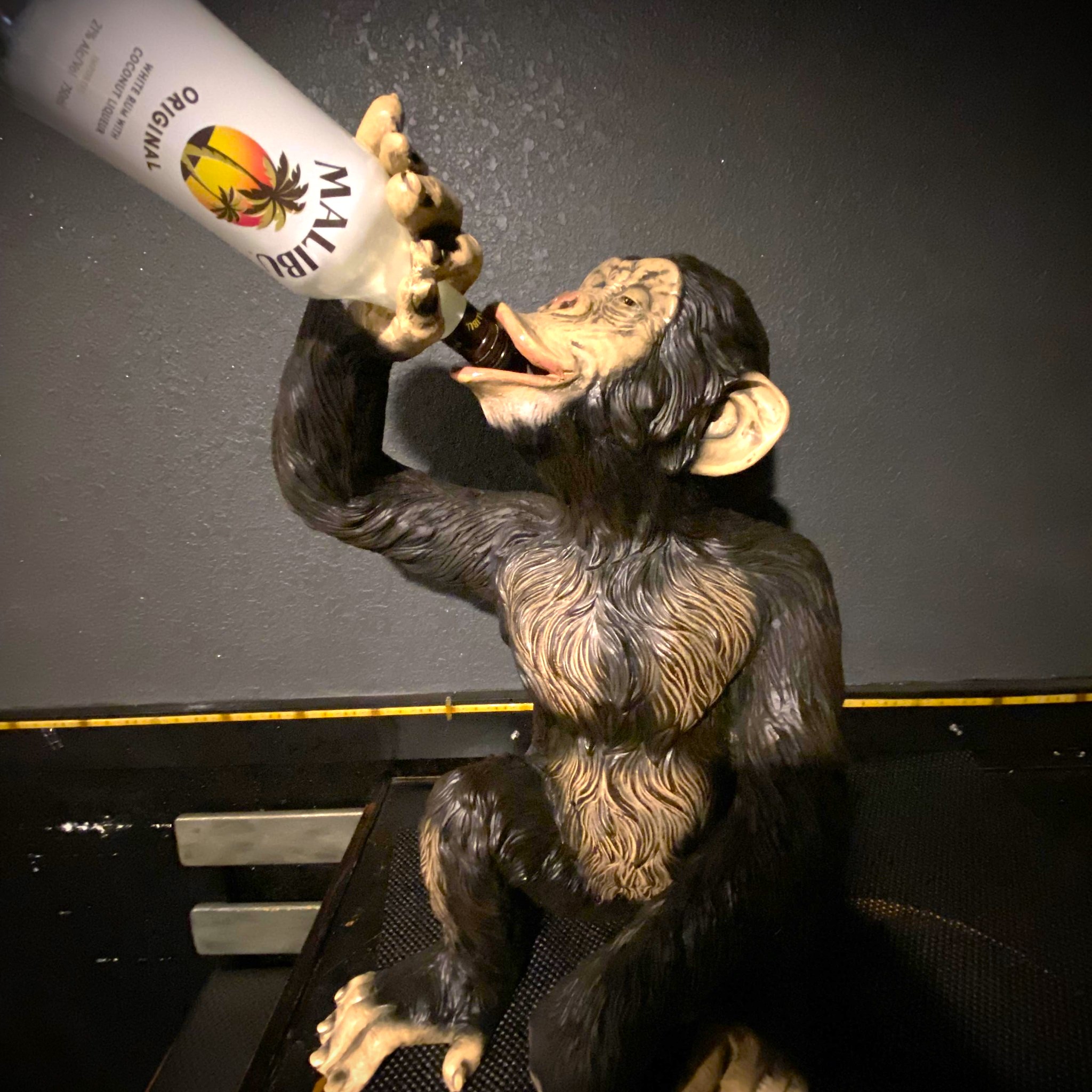 The Monkey Bar LLC