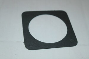 thermostat gasket R1
