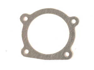 Thermostat gasket 