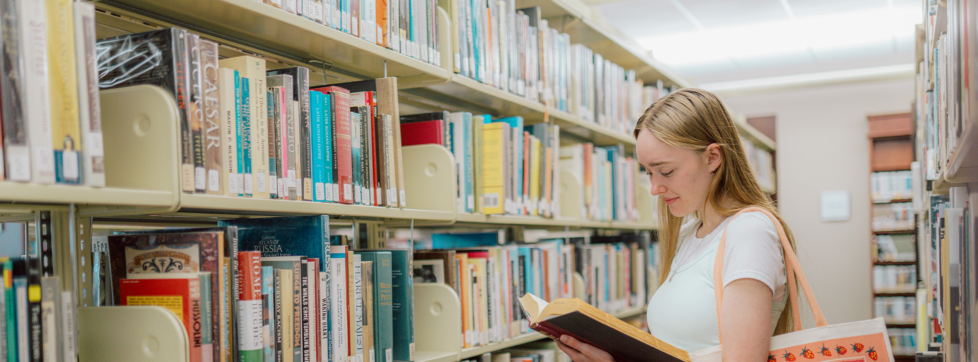 Library Background Pic