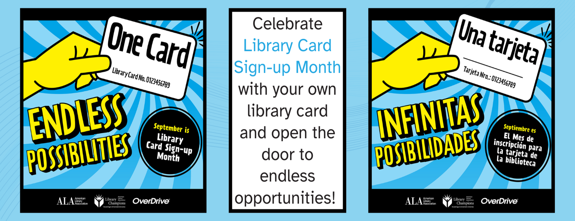 Pope County Library System