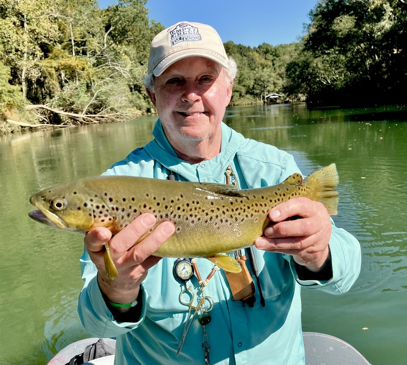 Fall Brown Trout
