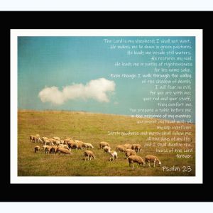 Psalm 91 - Religious Cotton Fabric, Whoever Dwells in the Shelter, Pan –  McKinney Printing Company, LLC