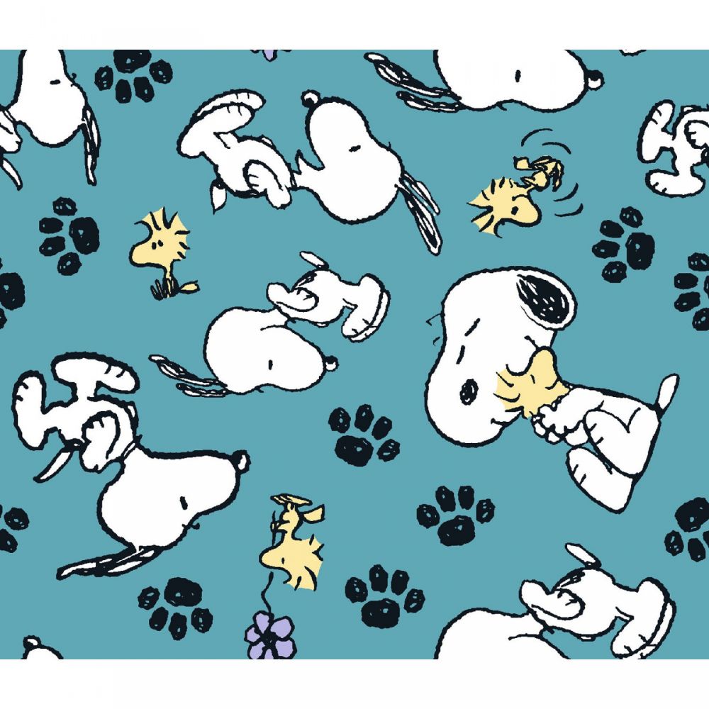 45 Spring Creative Snoopy And Woodstock Playing | Marshall Dry Goods ...