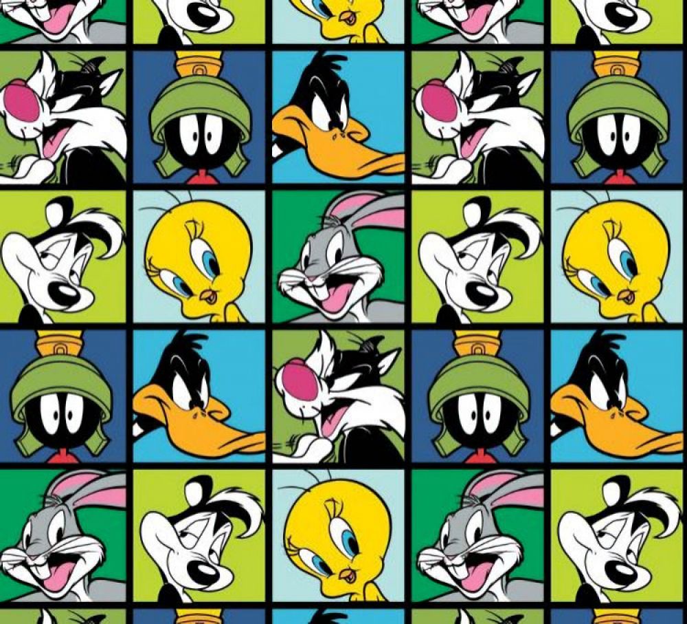 45 Camelot Fabrics Looney Tunes Character Blocks | Marshall Dry Goods ...